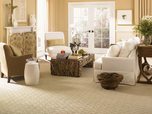 Mohawk carpet in living room.