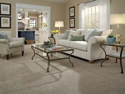 Tuftex Carpet of California in living room.