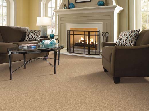 eco friendly beaulieu carpet.