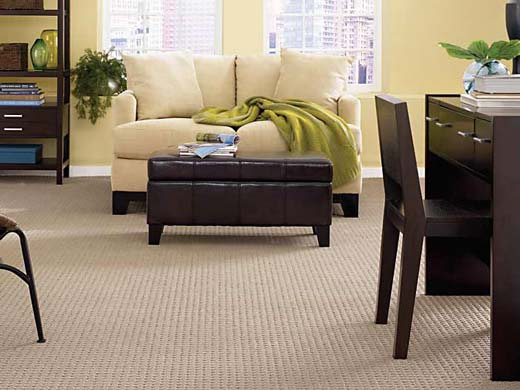 eco friendly everstrand carpet.